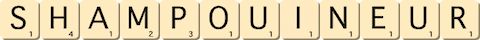 shampouineur shampouineur