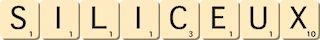siliceux