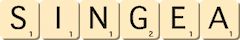 singea singea