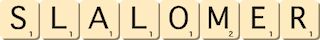 slalomer slalomer