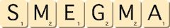 smegma smegma