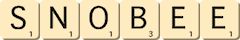 snobee snobee