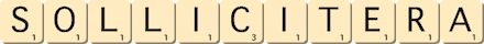 sollicitera sollicitera