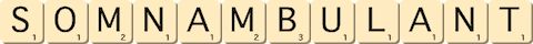 somnambulant somnambulant