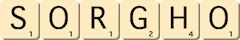 sorgho sorgho