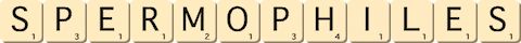 spermophiles spermophiles