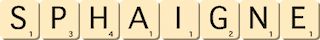 sphaigne sphaigne