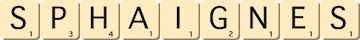 sphaignes sphaignes