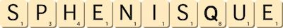 sphenisque