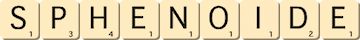 sphenoide sphenoide