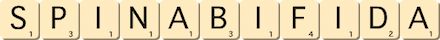 spina-bifida spina-bifida