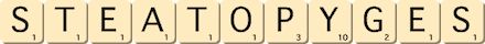 steatopyges