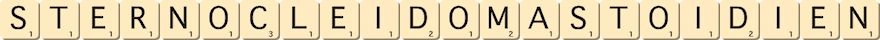 sterno-cleido-mastoidien sterno-cleido-mastoidien