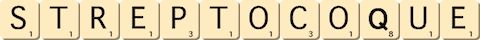 streptocoque streptocoque
