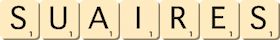 suaires suaires