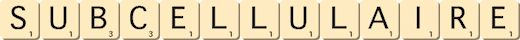 subcellulaire subcellulaire