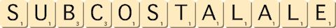 subcostal--ale