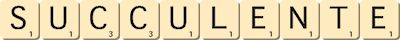 succulente