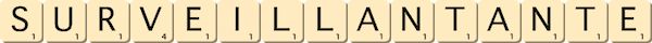 surveillant--ante