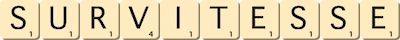 survitesse survitesse