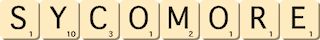 sycomore sycomore