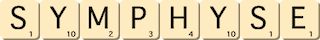 symphyse