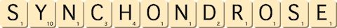 synchondrose
