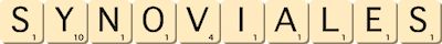 synoviales synoviales