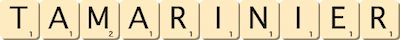 tamarinier tamarinier