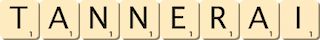 tannerai tannerai