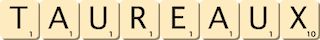 taureaux taureaux