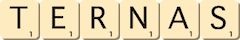 ternas