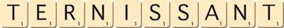 ternissant ternissant