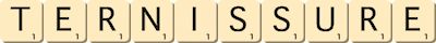 ternissure