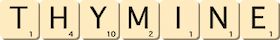 thymine thymine