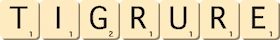 tigrure tigrure