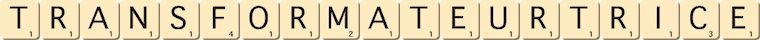 transformateur--trice