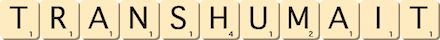 transhumait transhumait