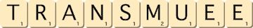 transmuee transmuee