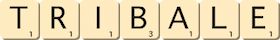 tribale tribale