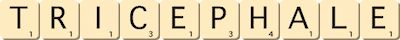 tricephale tricephale