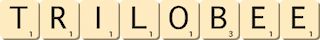 trilobee trilobee