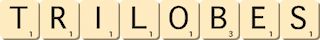 trilobes trilobes