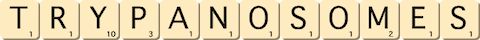 trypanosomes trypanosomes