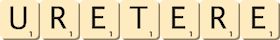 uretere