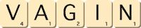 vagin vagin