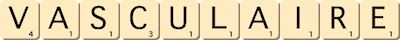 vasculaire vasculaire