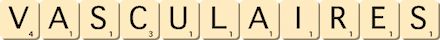 vasculaires vasculaires