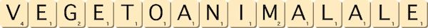 vegeto-animal--ale