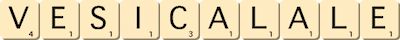 vesical--ale